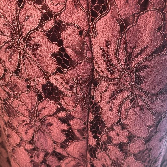 Plum A-line Cotton Blend Lace Midi Dress Ann Taylor - Picture 5 of 15